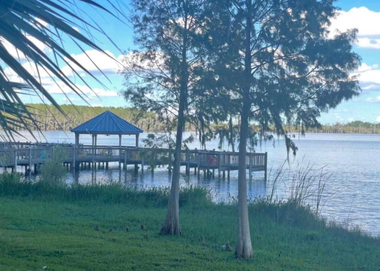 Disney Just 1 And A Quarter Mile Away, Blue Heron 1 Room 2 Bath,Amenities,6 Guests, Walk To Restaurants, No Fees At Check In Orlando Eksteriør billede